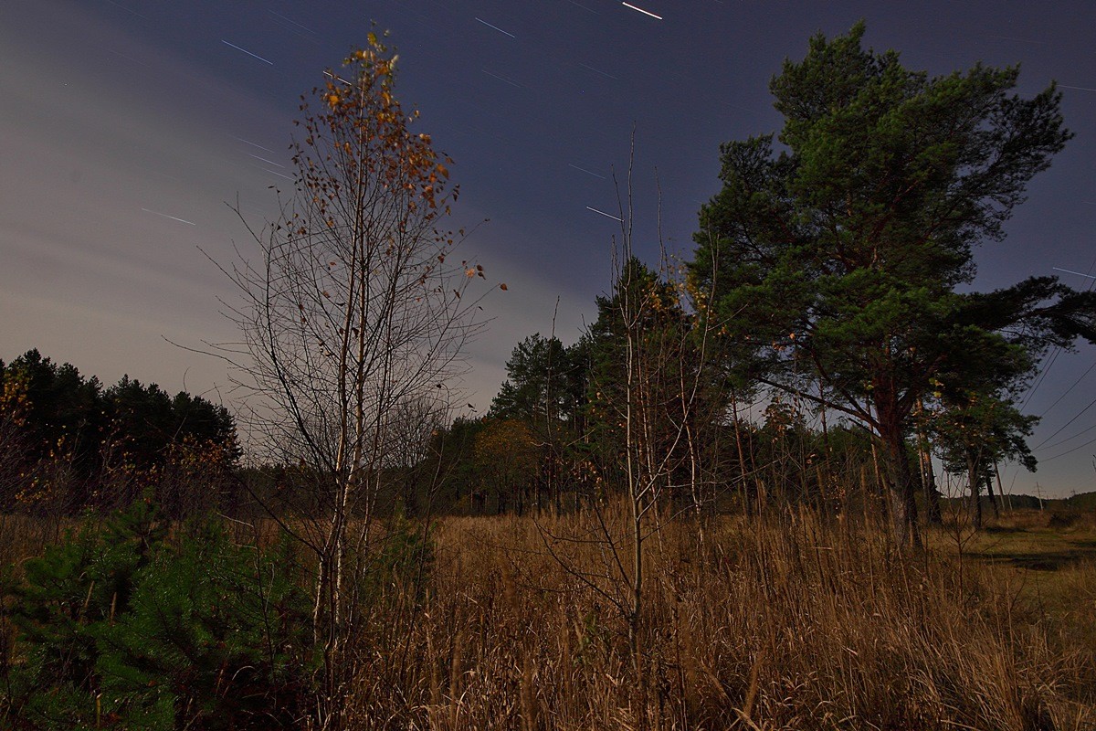 The Cold Light of Autumn