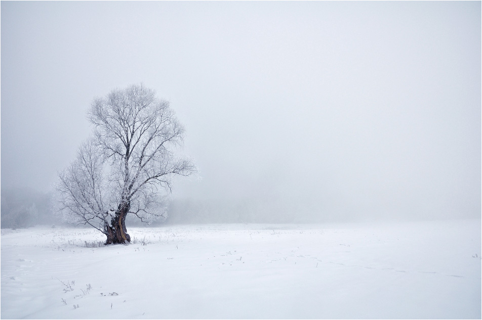 Winter-Nebel