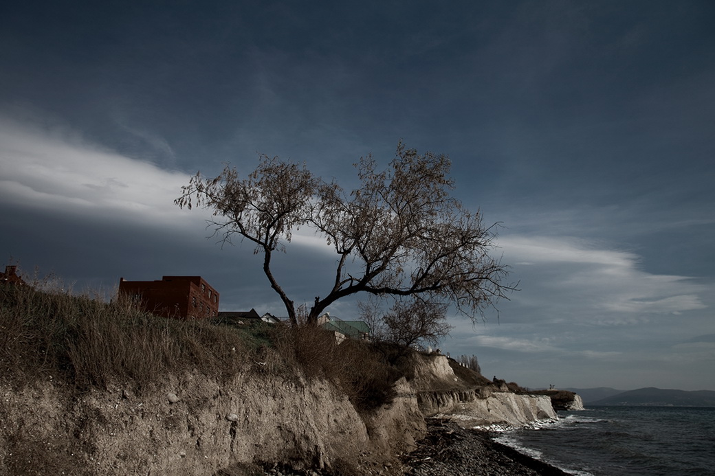 Das Leben und Sterben der Bäume