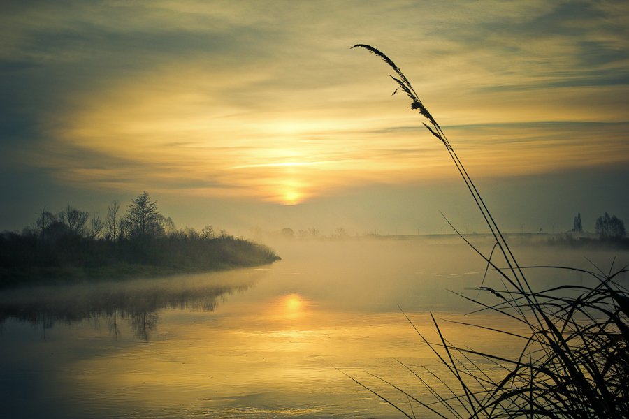 "Nebel auf dem Yang-tze"