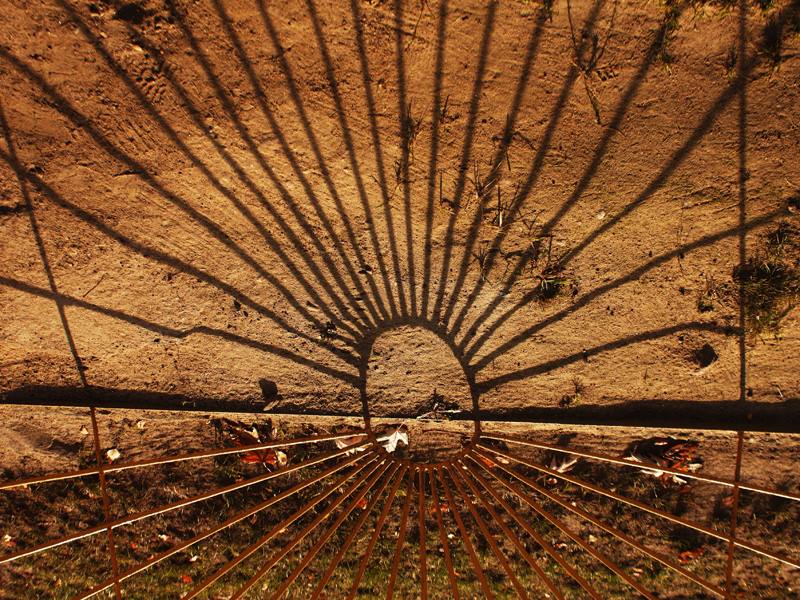 The Sun is on my Side