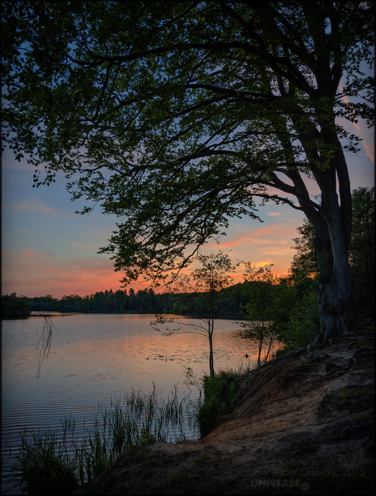 UK. Virginia Waters at Sunset
