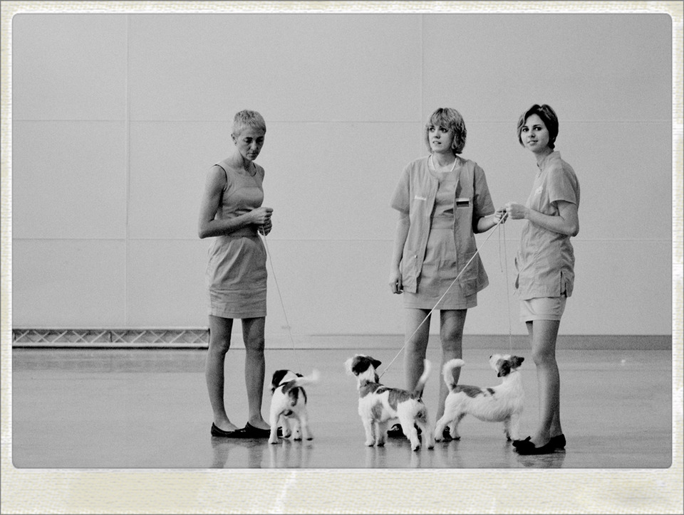 Damen mit Hunden