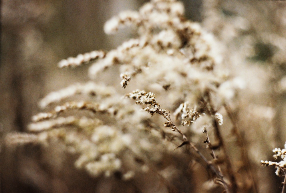 Frieren für eine zweite