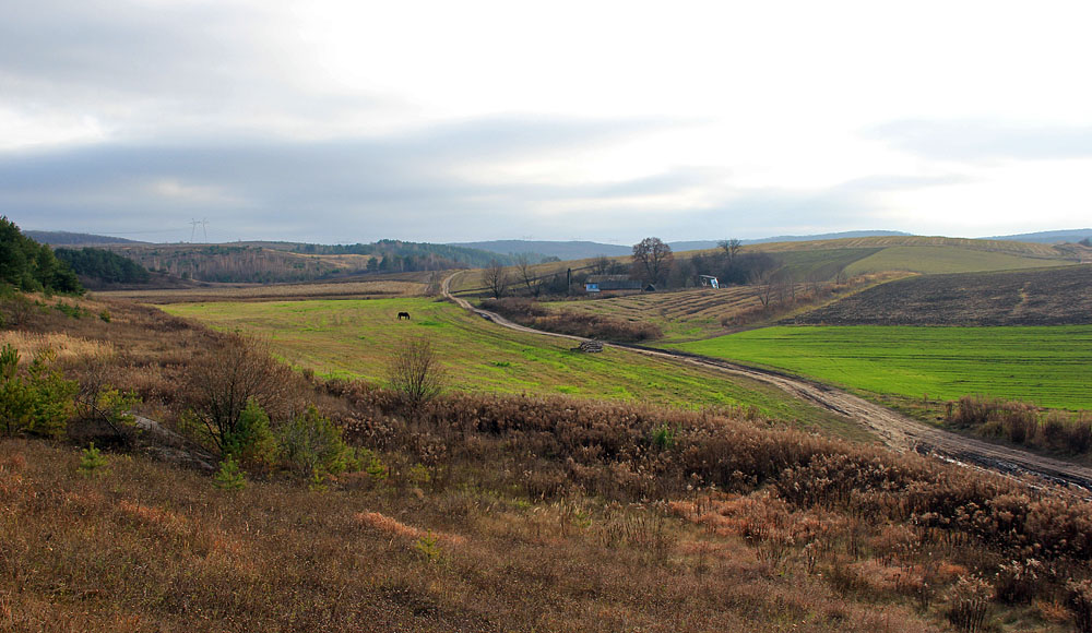 Straßen im November