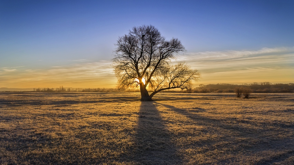 In der Morgendämmerung, am Morgen