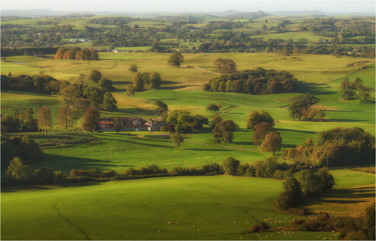 ...Loughcrew Gardens...