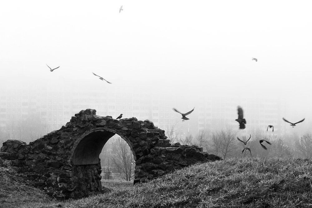 Krähen in den Himmel, unter den Himmel Mönche ...