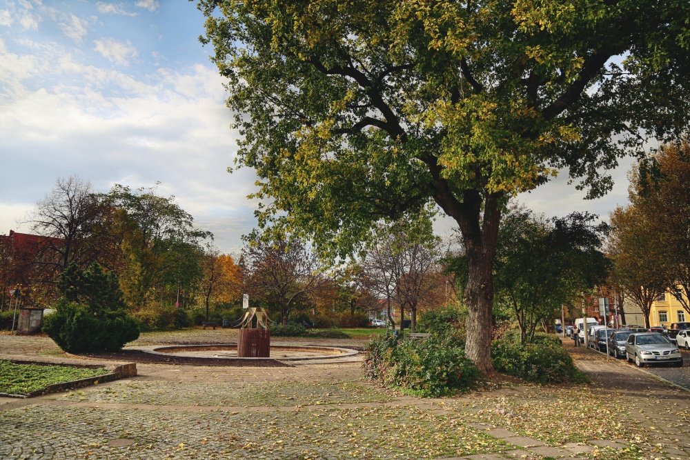Rose Luxemburg strasse