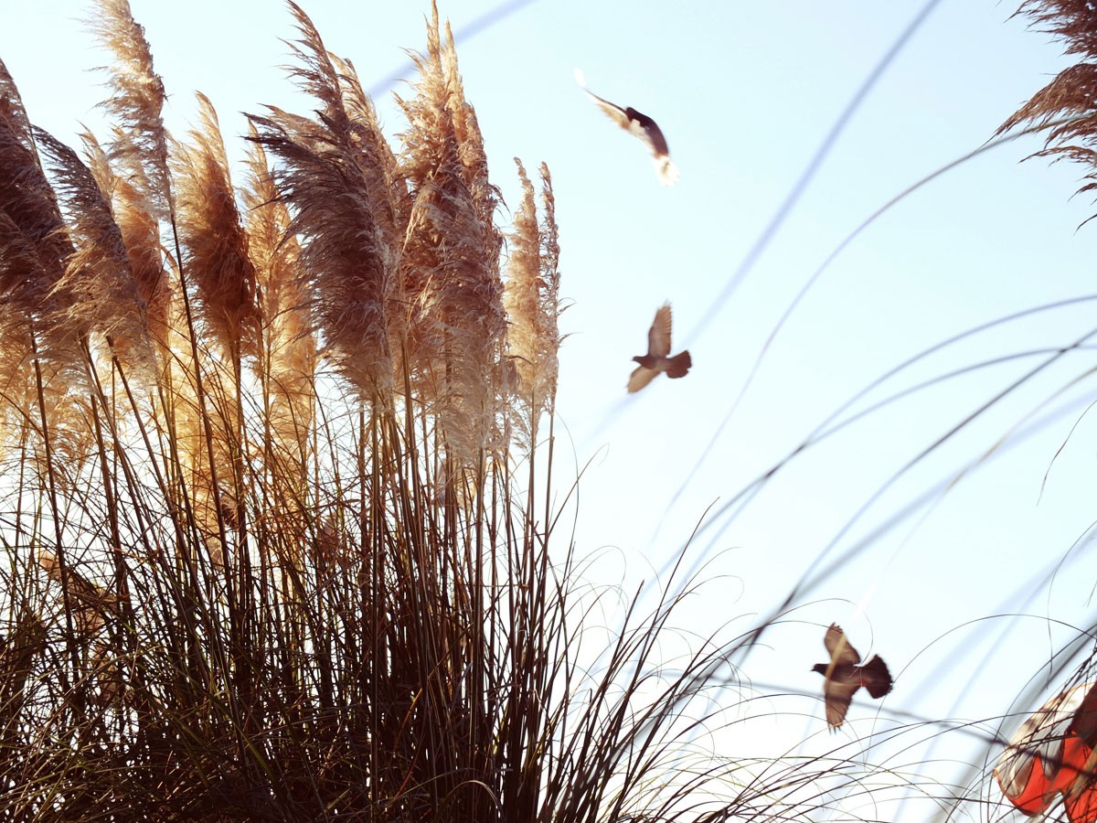 зарисовка "Южное взморье"