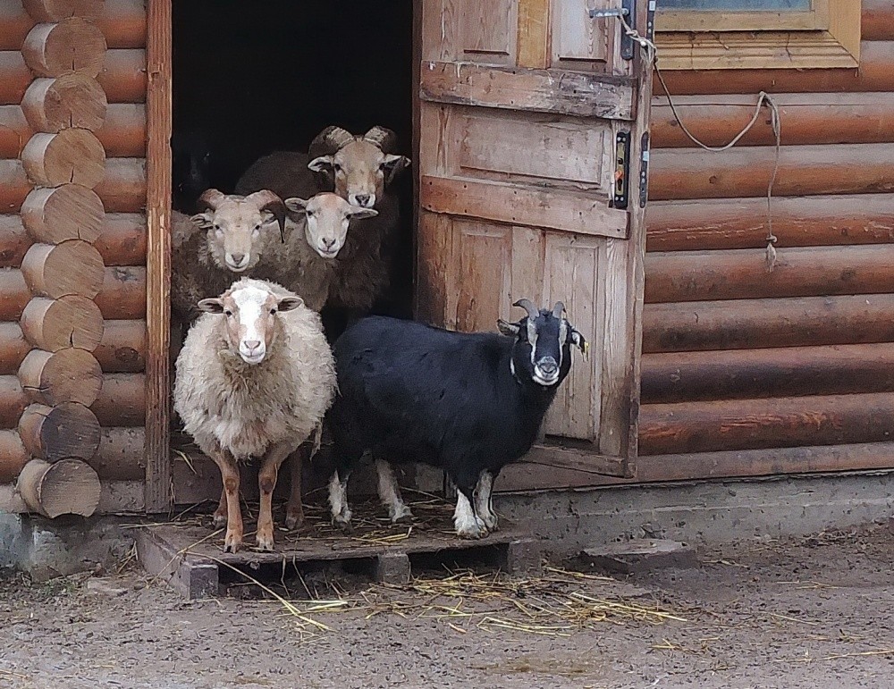 "Conversation Piece"