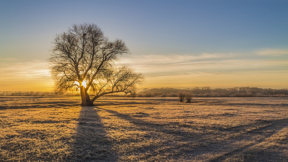 In der Morgendämmerung, der Morgen-2