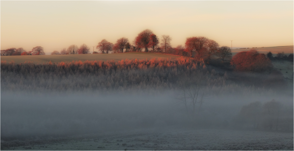 Eisiger Nebel ......