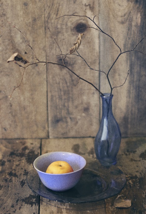 Getrocknete Niederlassung ...