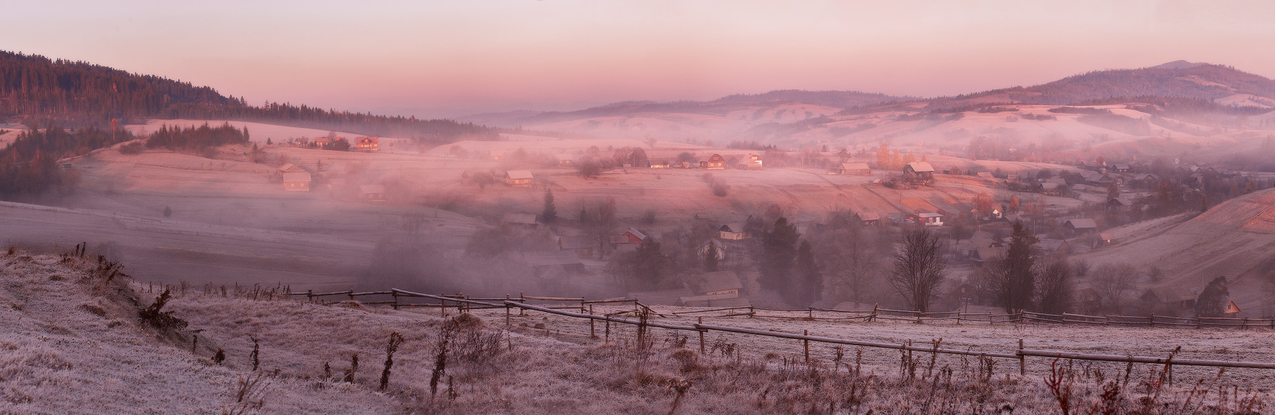 Im Morgengrauen Shaggy