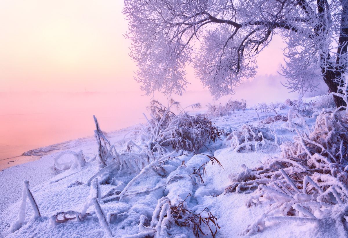 In Gefangenschaft Winter