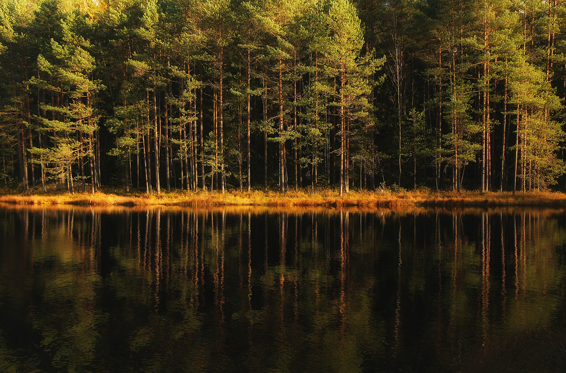 Dunkle Wasser der Herbst ...