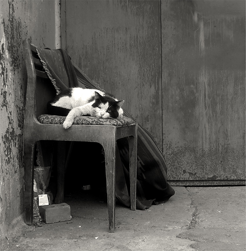 In der Privatsphäre