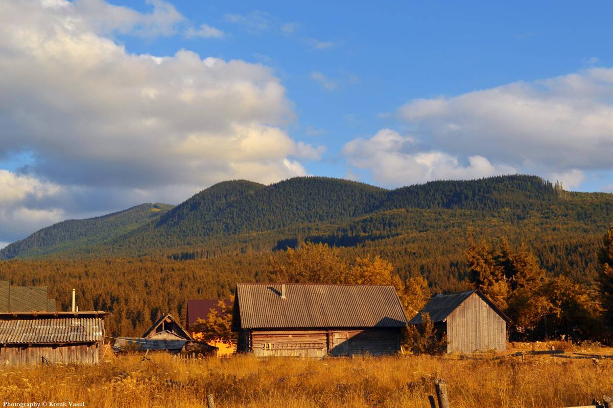 Карпатська осінь на хуторі