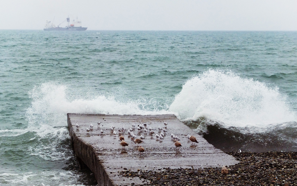 зарисовка "Южное взморье"#2