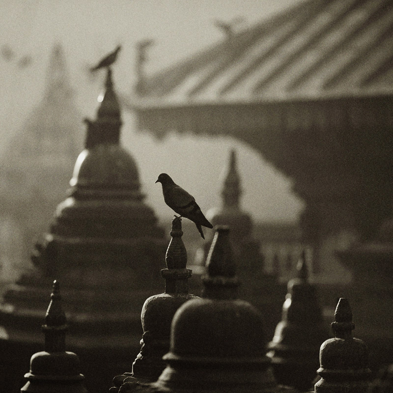 über den Glauben an das Gute