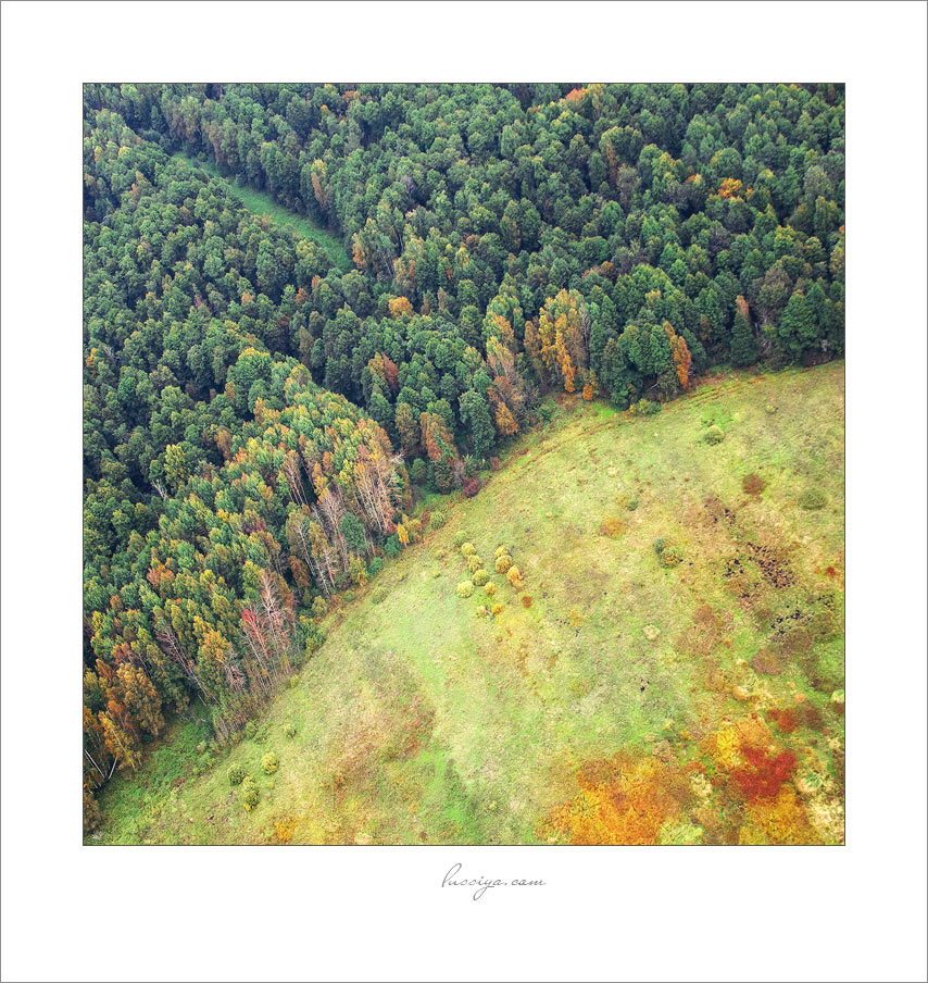 Über den Bands Leben