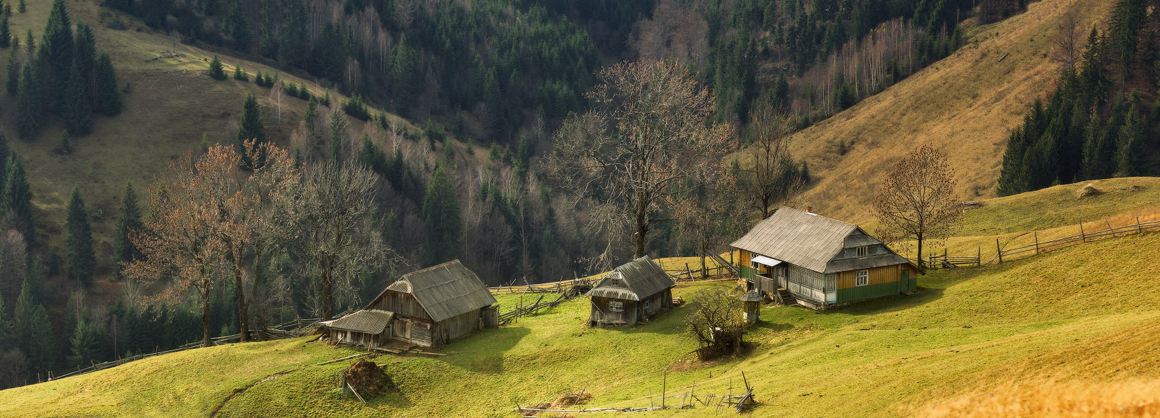 Das Leben in den Abgrund