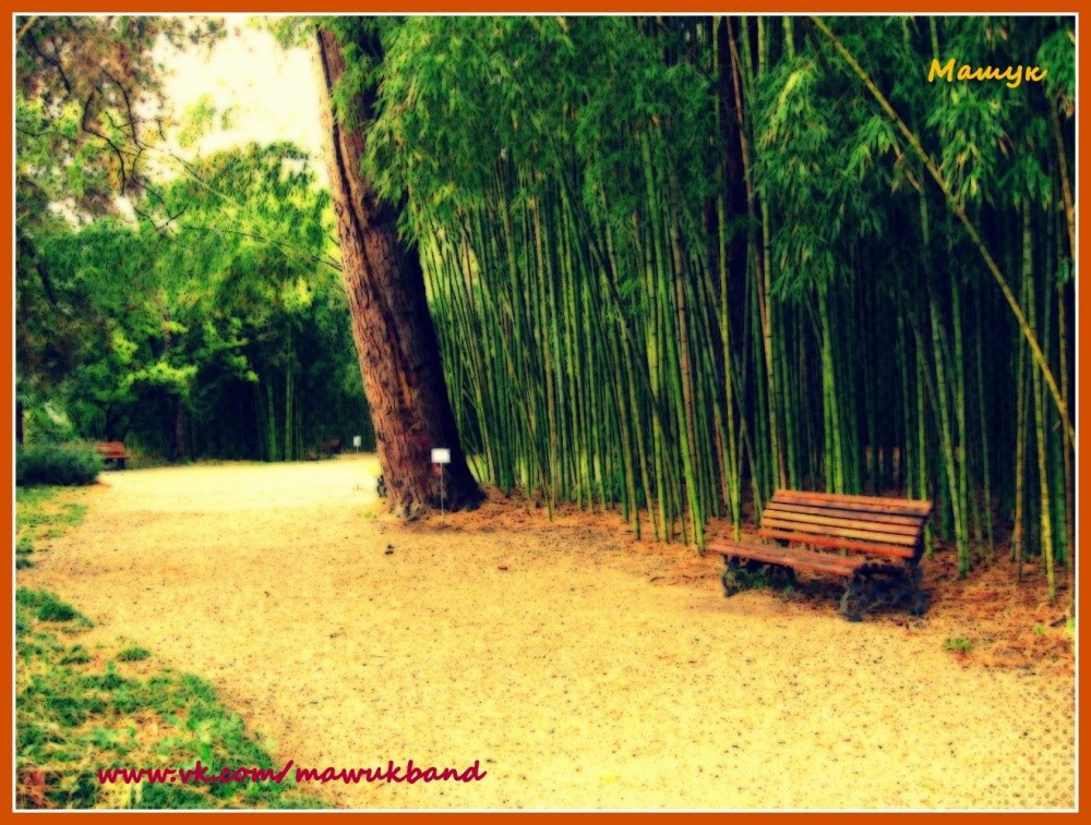 Botanischer Garten, Suchumi