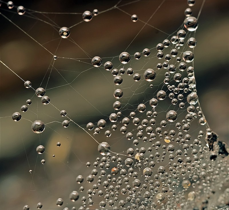 Infinity-Regenbogen ...