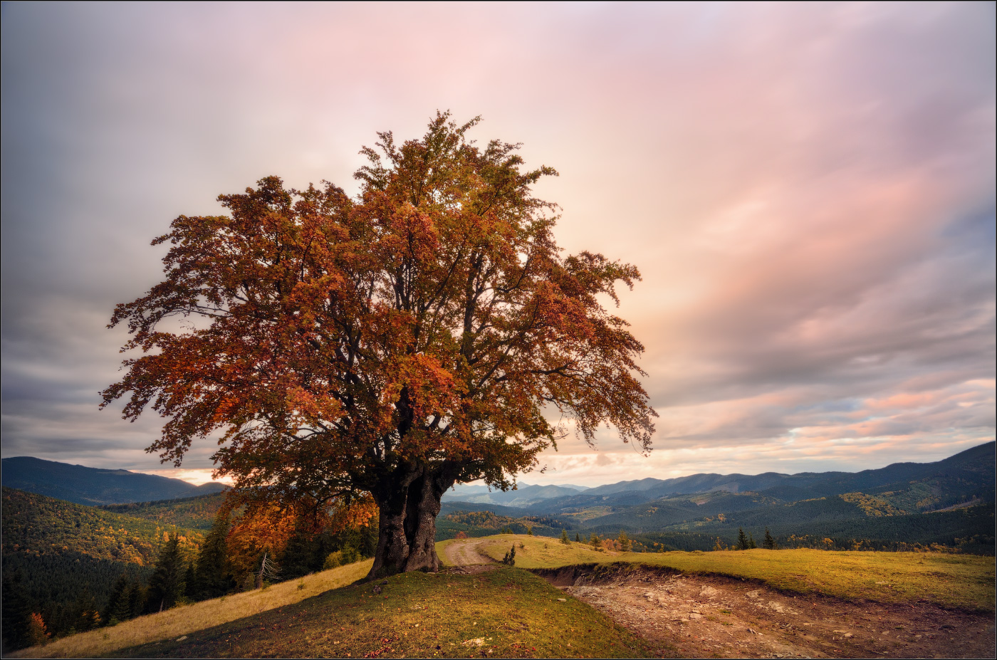 / On Krivopolskom passieren ... /