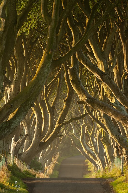 Wieder einmal auf der dunklen Hecken