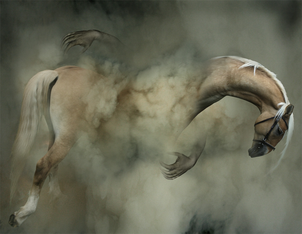 Umfassen Sie den Nebel ...