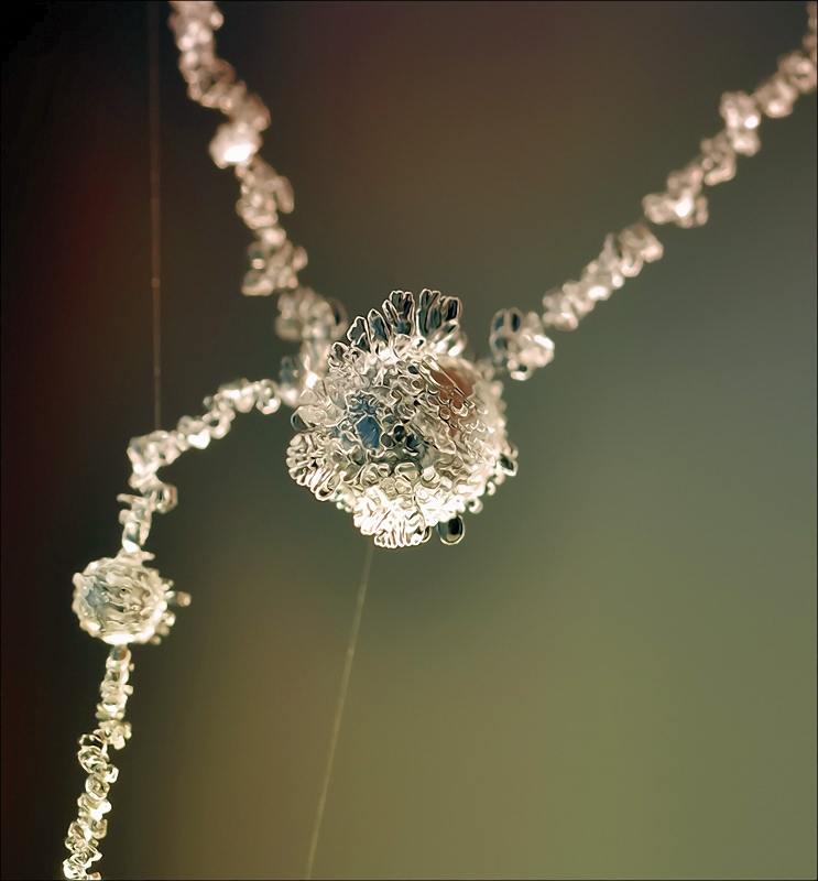 Echo fernen Planeten-99 ...