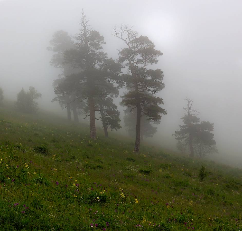 Über Spaziergang in den Wolken 1