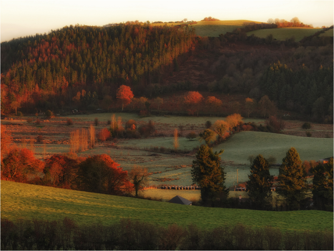 Der Dezember-Morgen ......