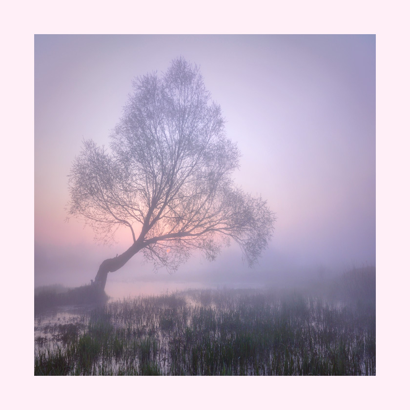 Im Nebel der Morgendämmerung