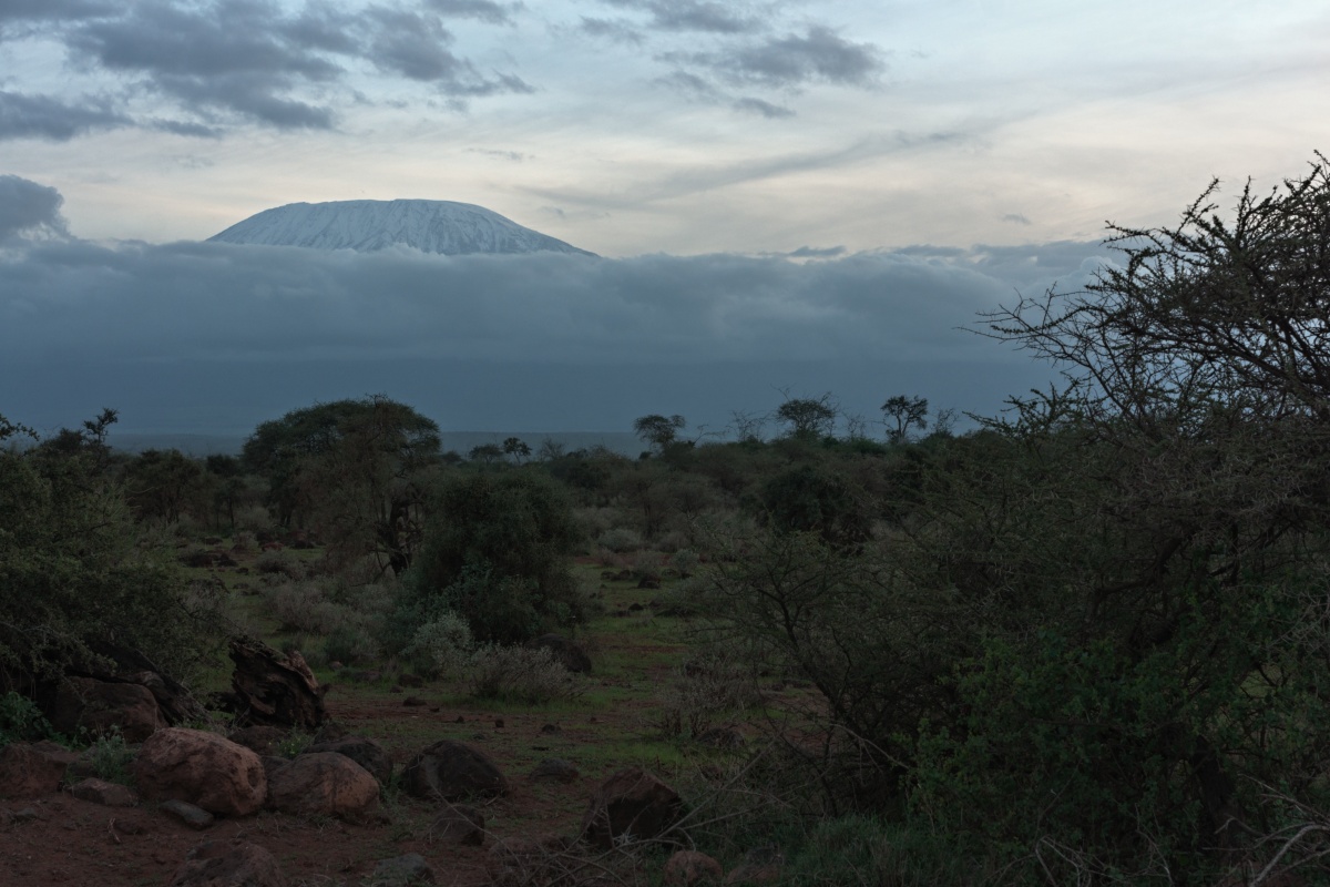 Kilimanjaro bei Sonnenuntergang