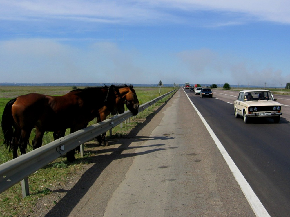 Hippodrom umgekehrt.