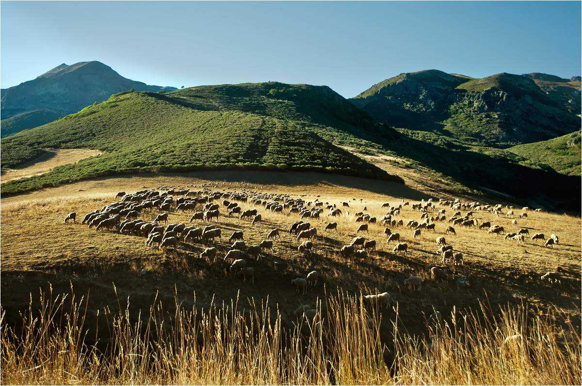 in den Bergen von Asturien