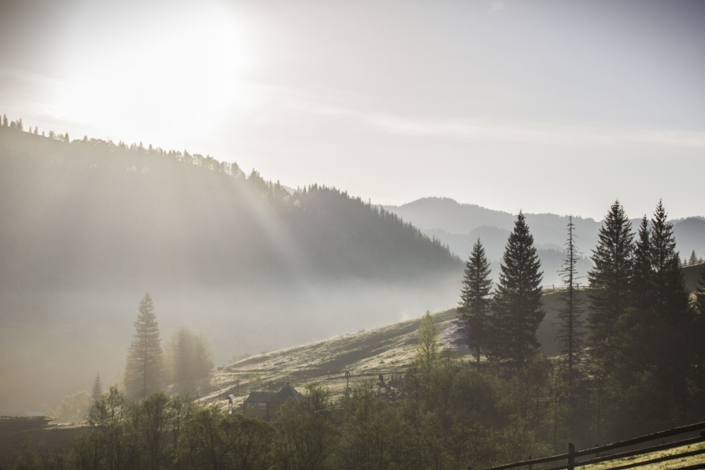 Karpaten, auf Pip Ivan