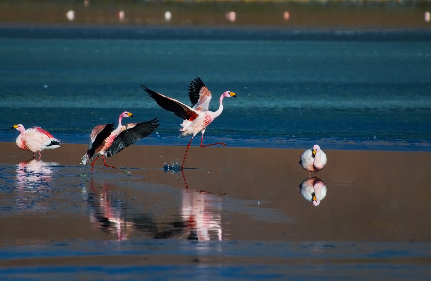 Das Leben auf dem Wasser
