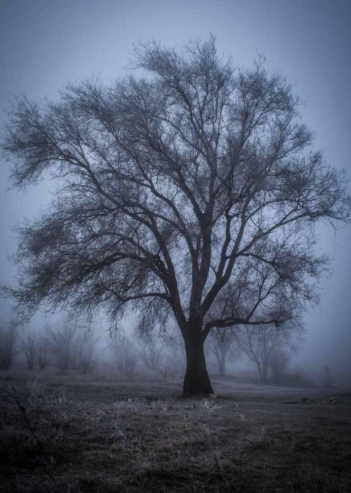 Misty Baum