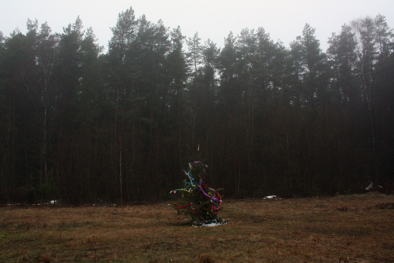 Fiedler auf dem Dach