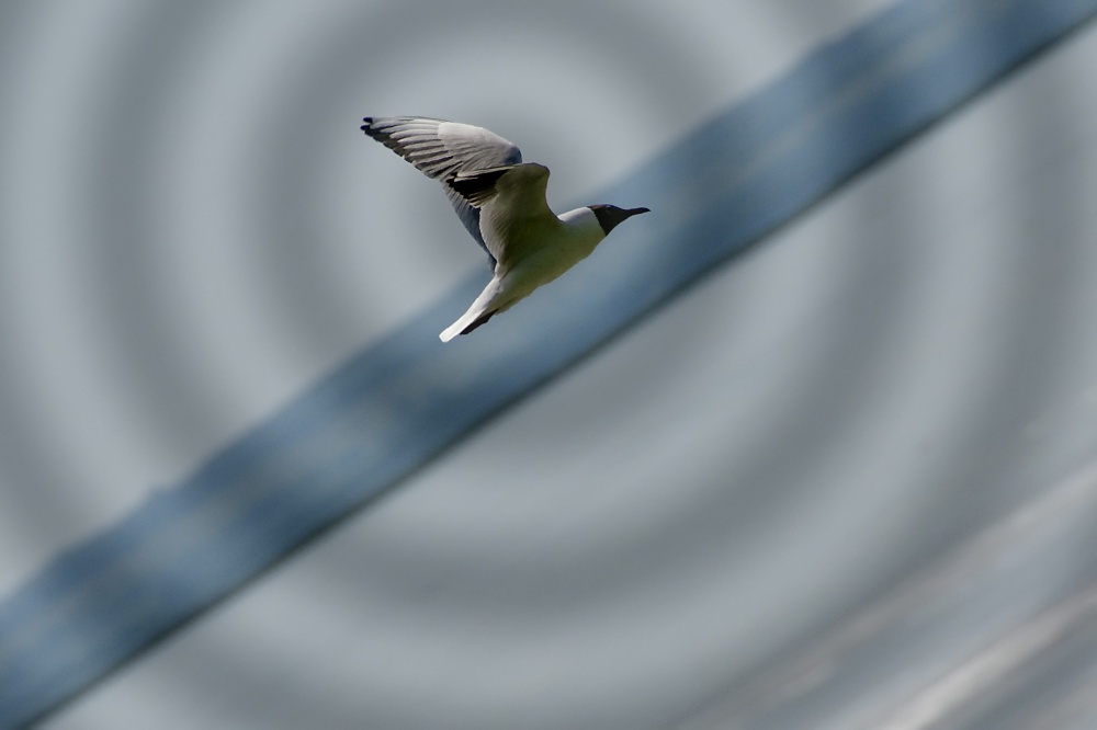 Vorwärts und aufwärts ...