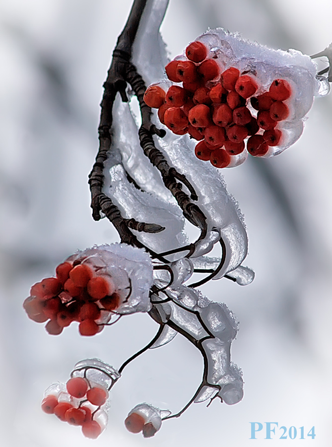 Bald, bald das neue Jahr!