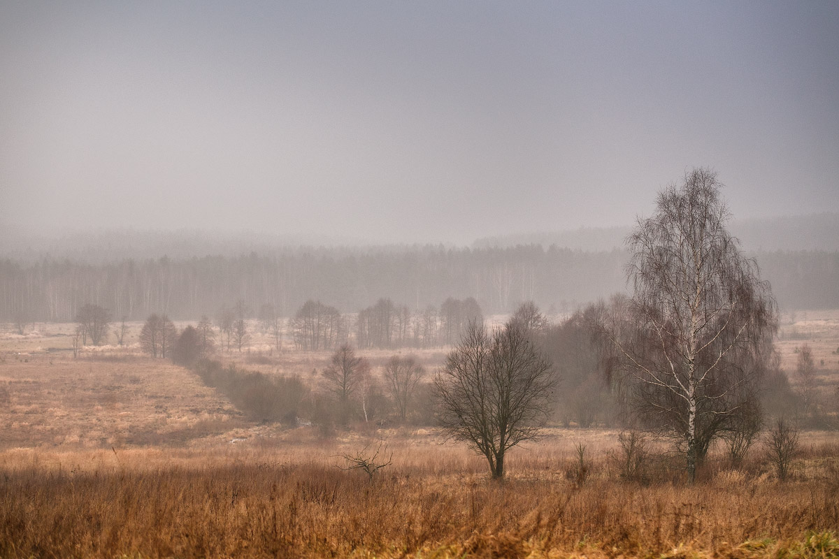 November 59 oder 62 Stunden vor dem neuen Jahr