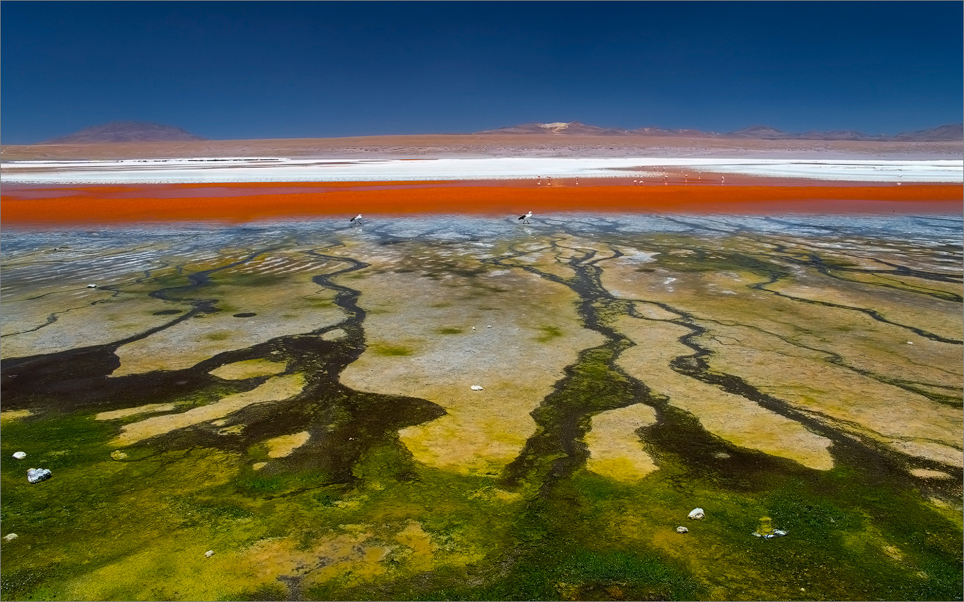 Über Farbe und Linie