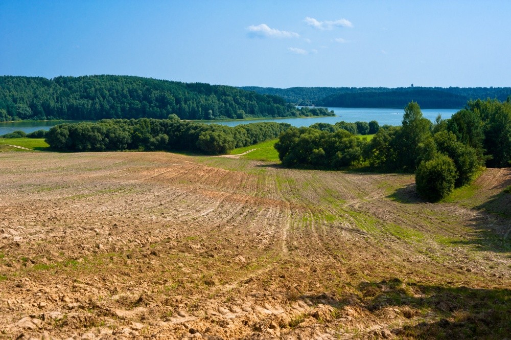 Like The Deserts Miss The Rain