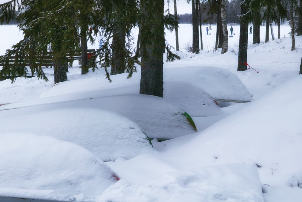 Pro Boot Nummer 61 (das letzte Boot in diesem Jahr)