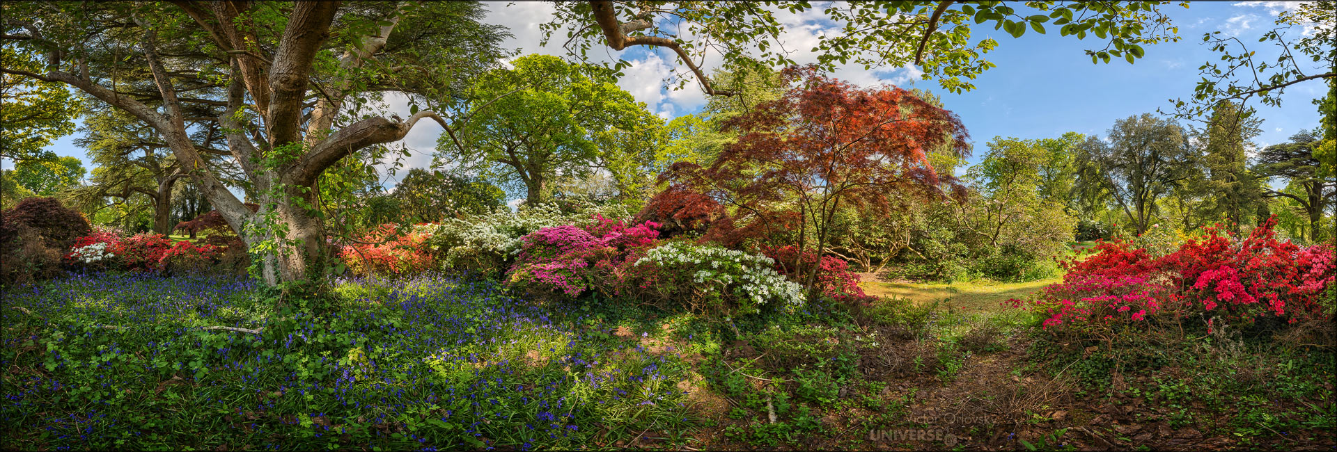UK. Exbury Gardens #13